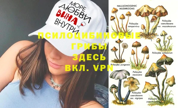 прущая мука Армянск