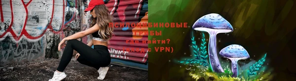 мет Арсеньев