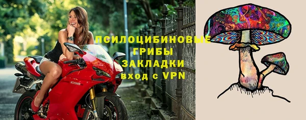 мет Аркадак