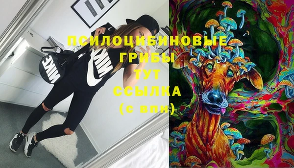мет Арсеньев